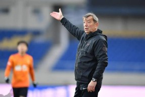 开云网页版-雄狮连胜收获三连胜，季后赛前景大好()