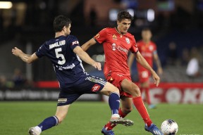 开云sports-悉尼主场大胜东京，晋级希望重燃(日本传来噩耗损失惨重)