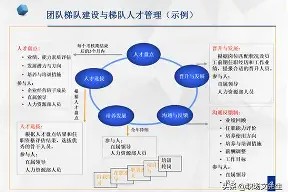 开云体育sports-队伍增加