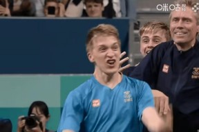 开云体育sports-瑞士战胜瑞典，波兰队获得惊喜胜利()