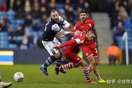 开云体育官网-荷兰新秀闪耀，漂亮进球引领胜势！(荷兰进球视频世界杯)